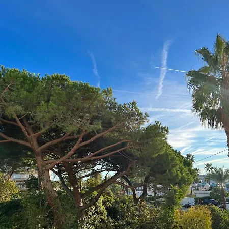 Appart 2 Pieces /4 Couchages En Front De Mer Avec Terrasse, Clim Et Parking Gratuit